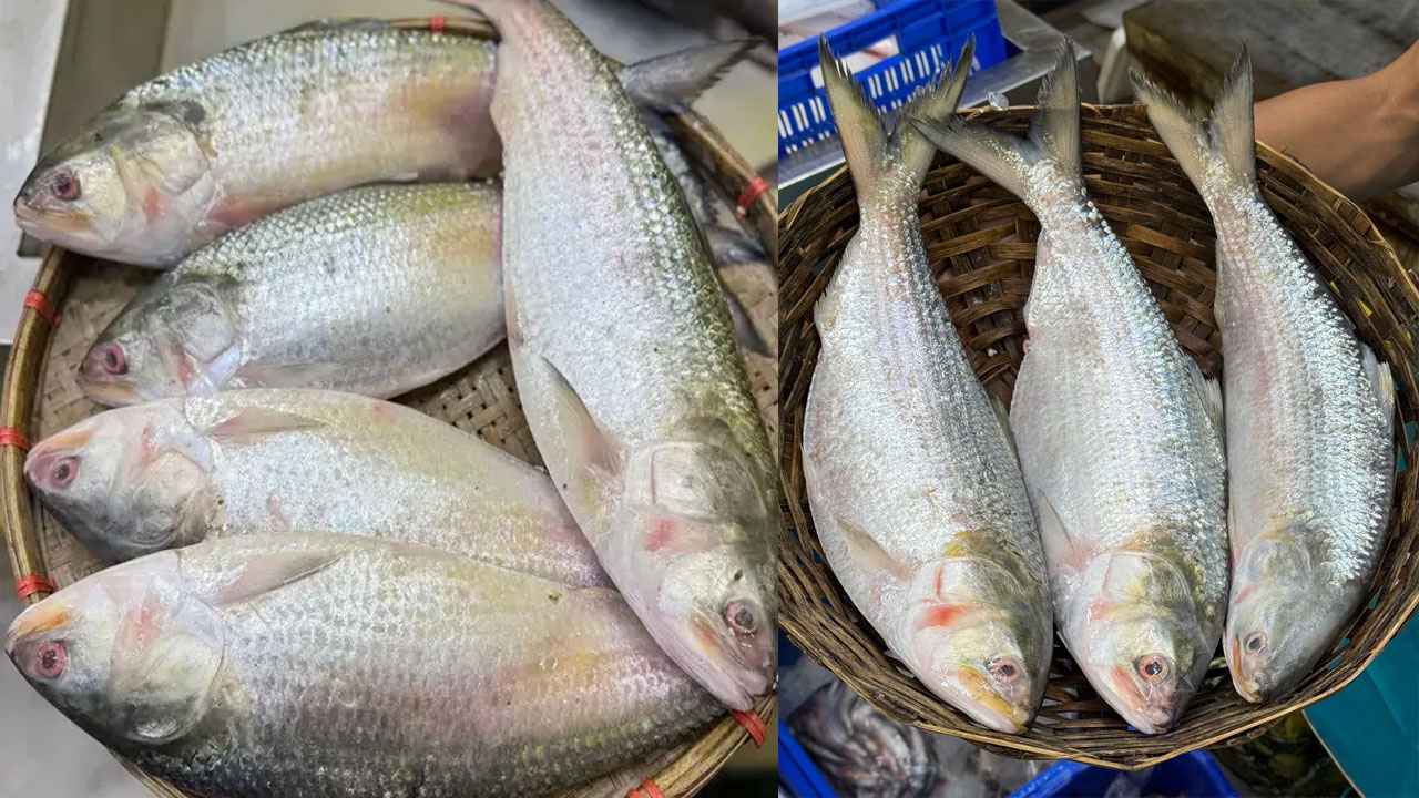 ছবি সংগৃহিত