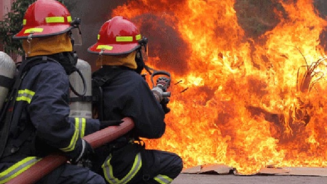 ফাইল ছবি