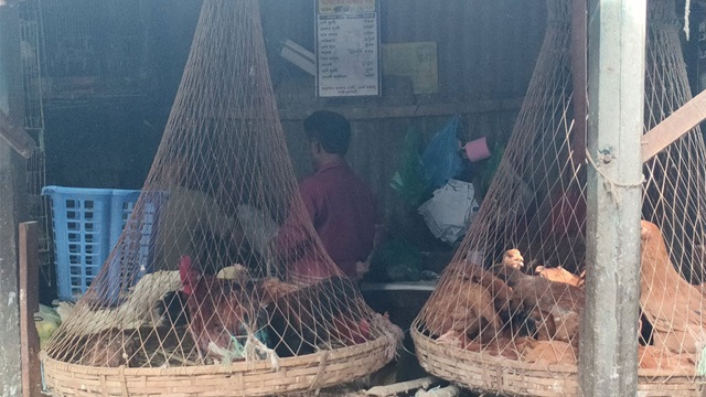 ছবি : সংগৃহীত