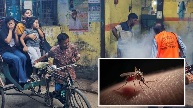 ফাইল ছবি