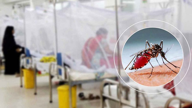 ডেঙ্গুতে একদিনে ঢাকায় ৪ মৃত্যু, হাসপাতালে ৮৪৫