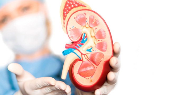 প্রতীকী ছবি