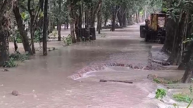 ছবি সংগ্রহিত