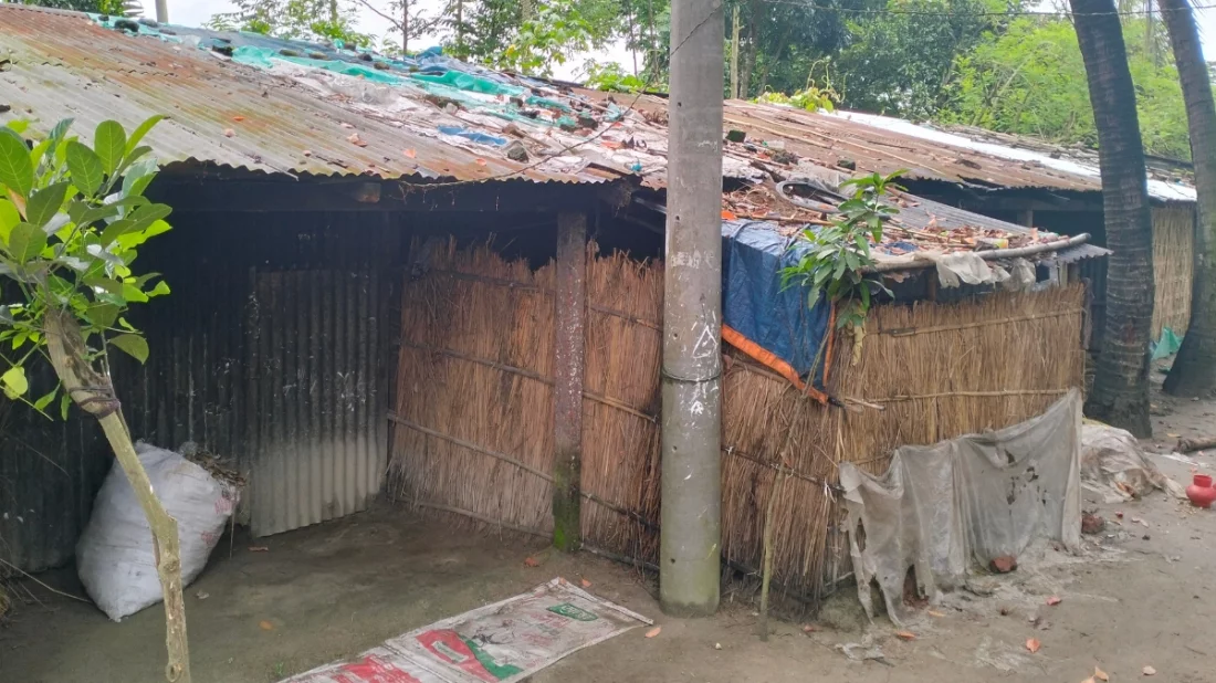 ছবি সংগৃহিত