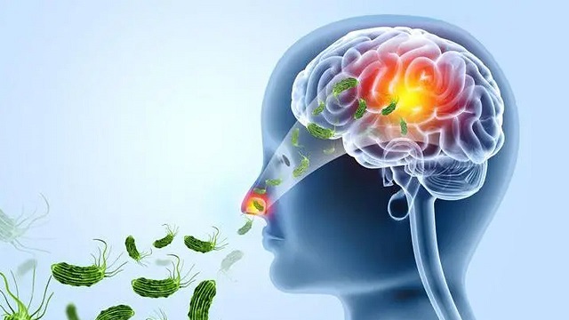 ছবি সংগৃহীত