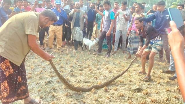 ছবি : সংগৃহীত