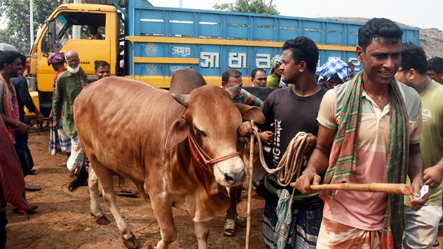 ছবি সংগৃহীত