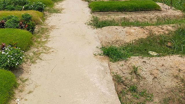 ছবি সংগৃহিত
