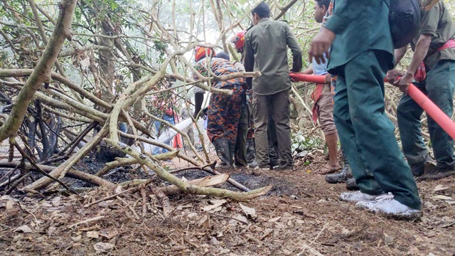 ছবি সংগৃহীত