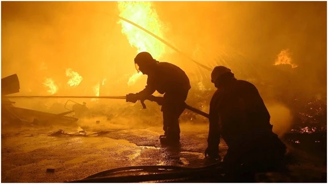 ফাইল ছবি