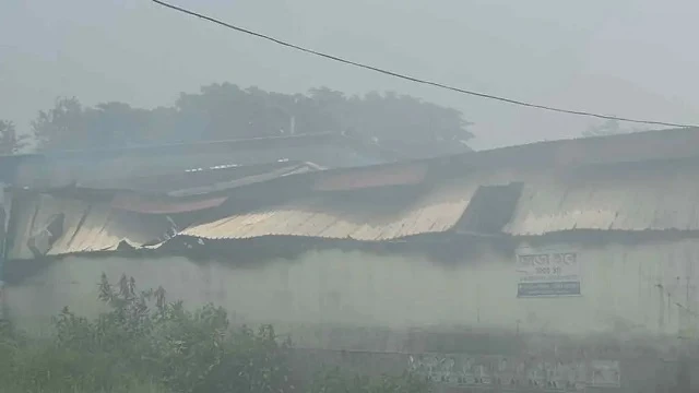 ছবি : সংগৃহীত