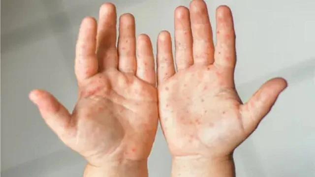 ফাইল ছবি