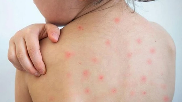 ফাইল ছবি