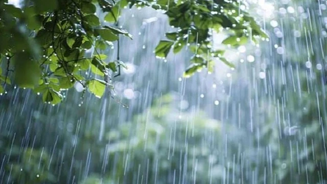 দেশজুড়ে বৃষ্টির আভাস