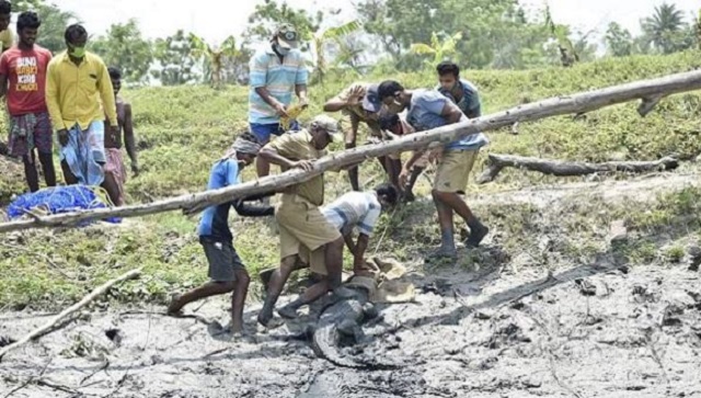 পুকুরের ভেসে উঠল সাড়ে ৯ ফুট লম্বা কুমির