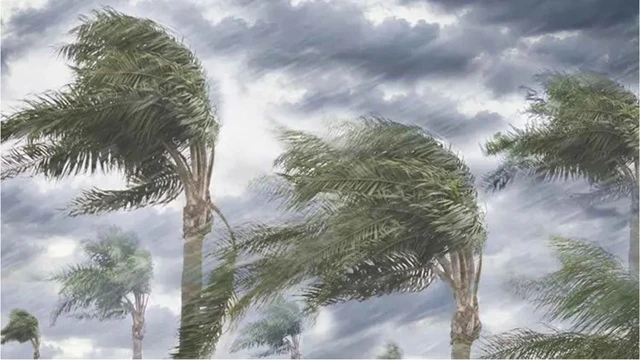 দেশের বিভিন্ন অঞ্চলে ঝড় ও শিলাবৃষ্টির আভাস, কমতে পারে তাপপ্রবাহ